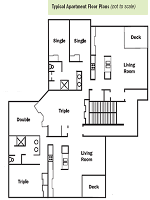 floor plan of a typical apartment